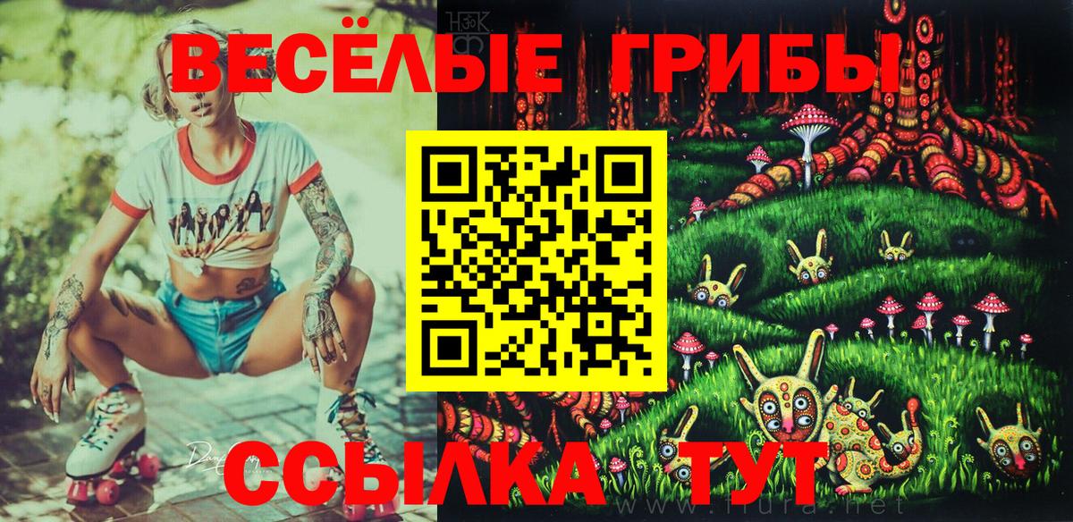 Псилоцибиновые грибы Psilocybe Прокопьевск