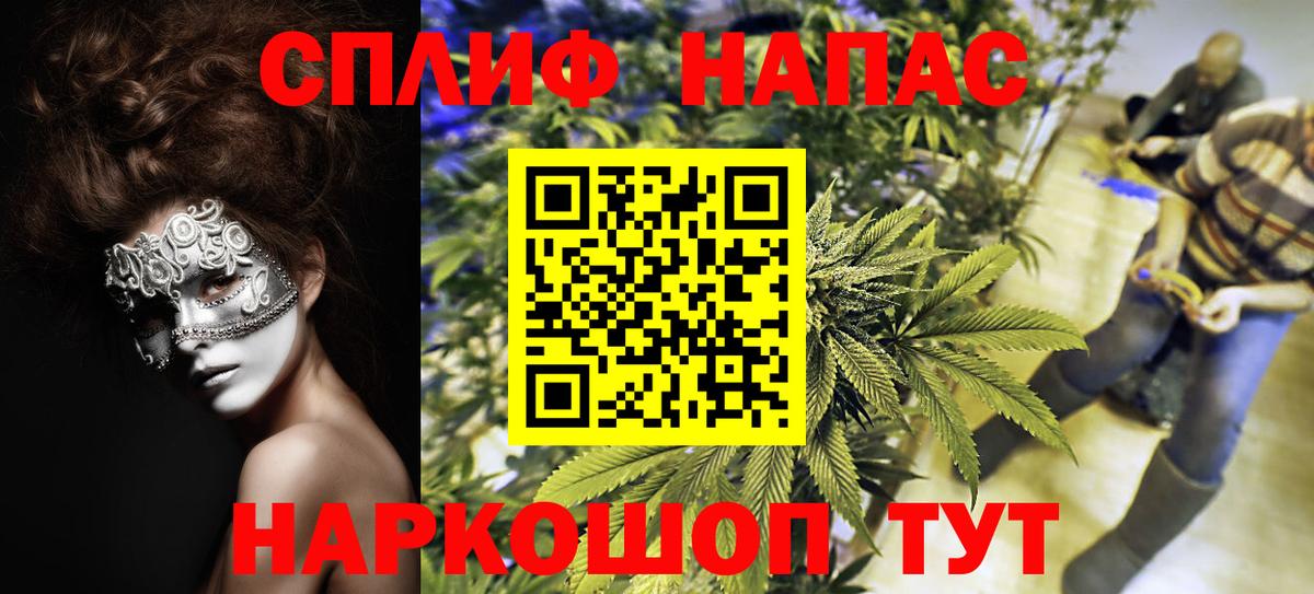 Бошки Шишки SATIVA & INDICA  Вход с VPN  Бошки Шишки White Widow  Бошки Шишки OG Kush  Бошки Шишки сатива  Прокопьевск 